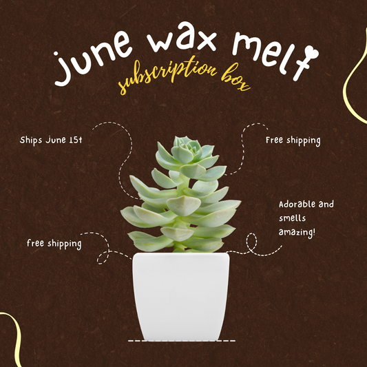 June Wax Melt Subscription Box- Succulent Surprise